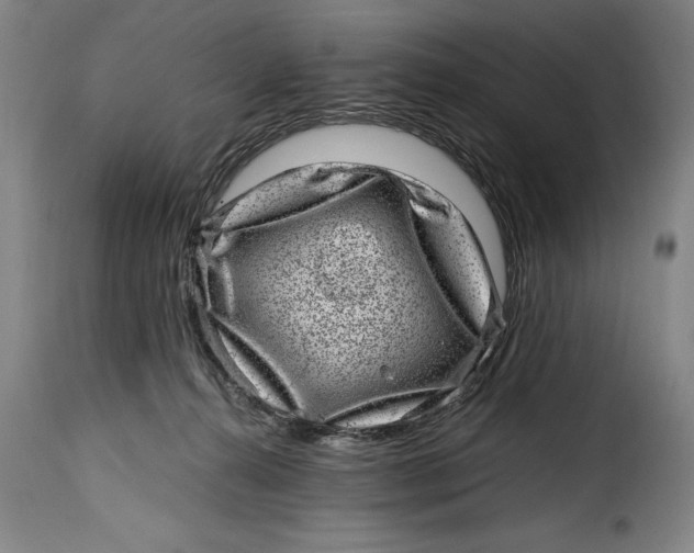 X0000115370272200911241247