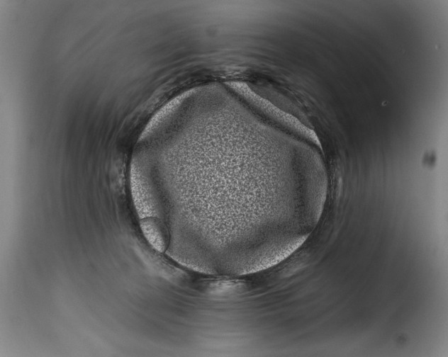 X0000115370274200911241247