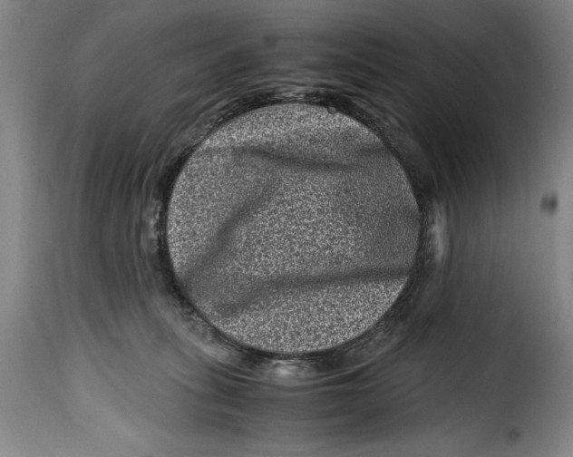 X0000115370275200911241247