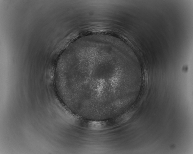 X0000115370277200911241247