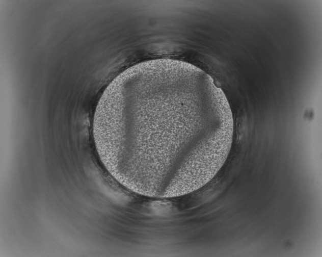 X0000115370279200911241247