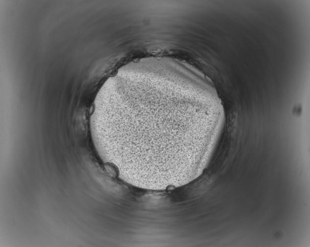 X0000115370280200911241247