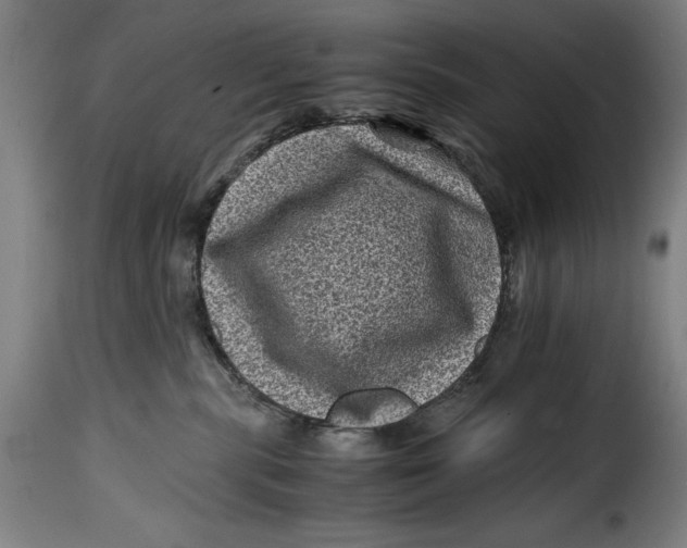 X0000115370283200911241247