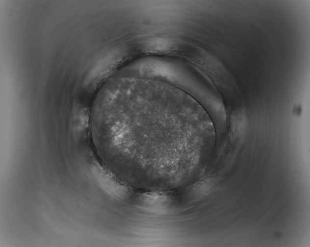 X0000115370284200911241247