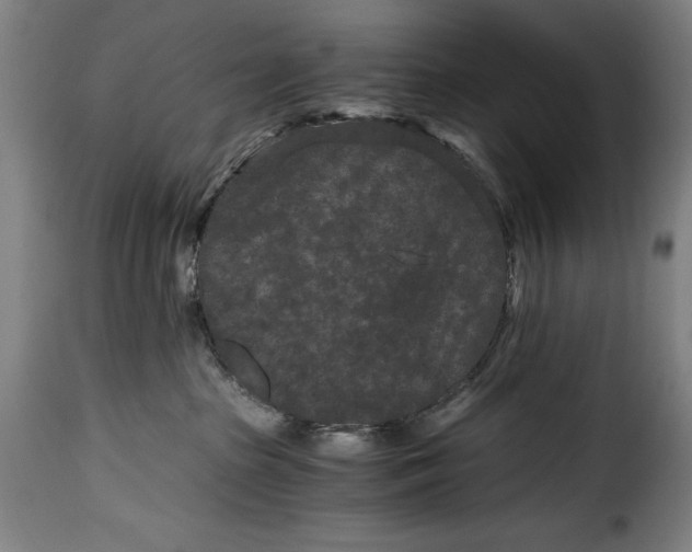 X0000115370285200911241247