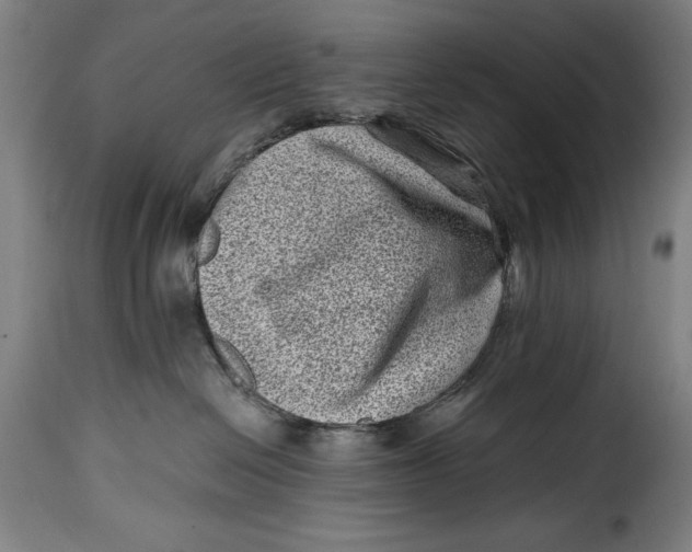 X0000115370286200911241247