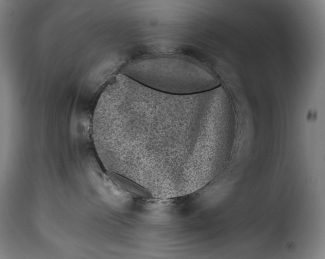 X0000115370288200911241247