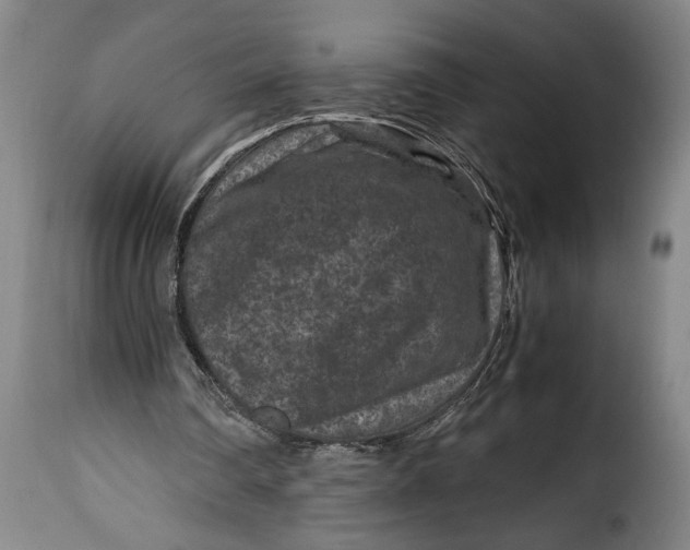 X0000115370290200911241246