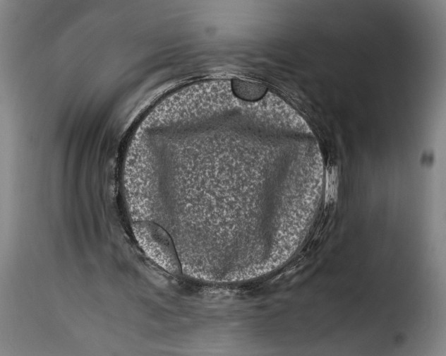 X0000115370291200911241246