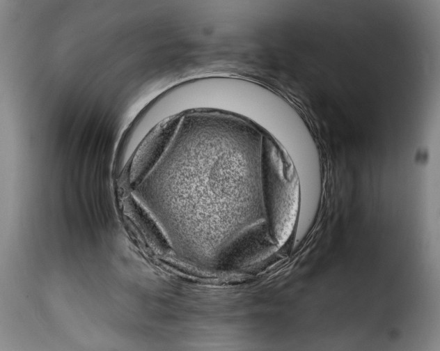 X0000115370292200911241246