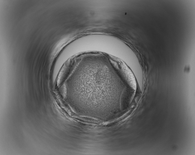 X0000115370293200911241246