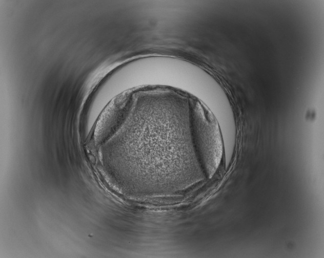 X0000115370294200911241246