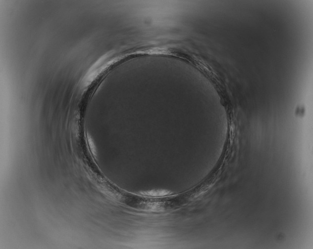X0000115370295200911241246