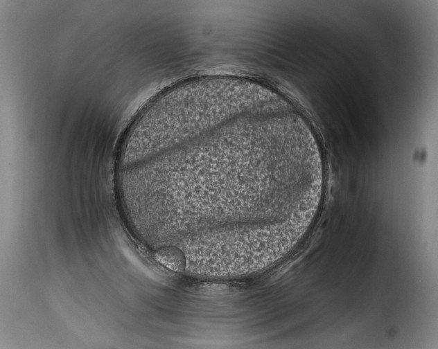 X0000115370298200911241246