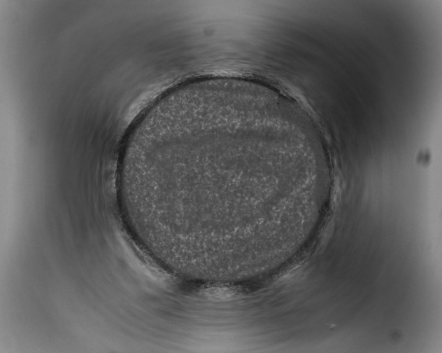 X0000115370299200911241246