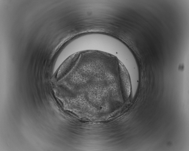 X0000115370300200911241246
