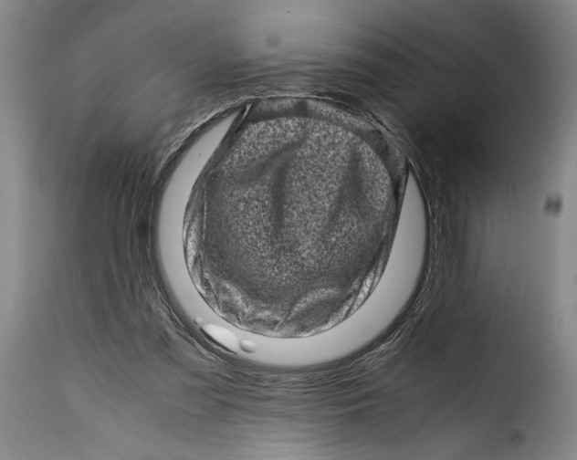 X0000115370301200911241246