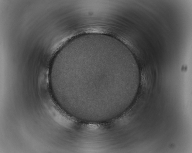 X0000115370302200911241246