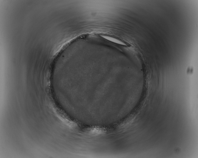 X0000115370303200911241246