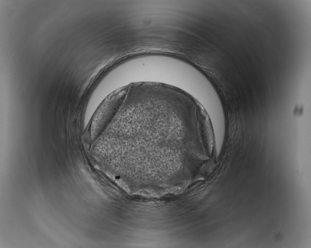 X0000115370304200911241246