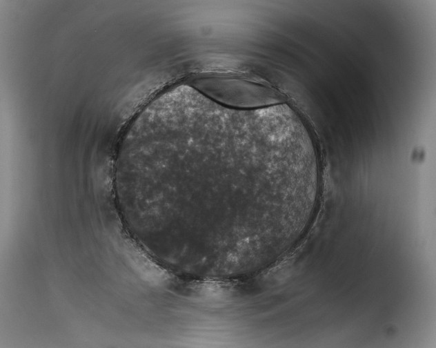 X0000115370305200911241246