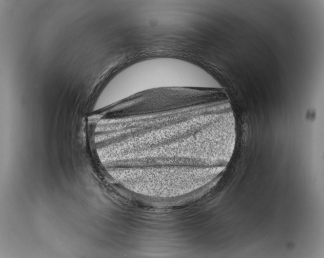 X0000115370308200911241246