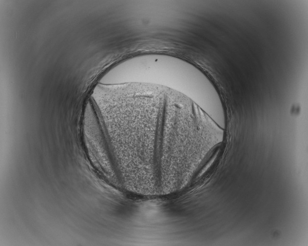 X0000115370309200911241246