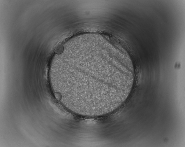 X0000115370310200911241246