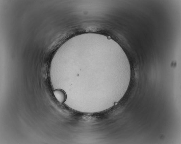 X0000115370311200911241246
