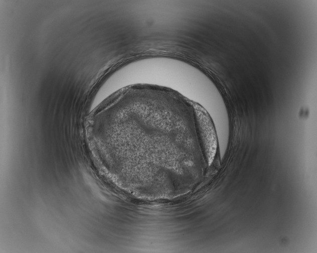 X0000115370312200911241246
