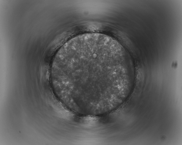 X0000115370313200911241246