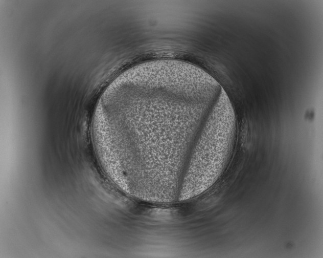 X0000115370314200911241246