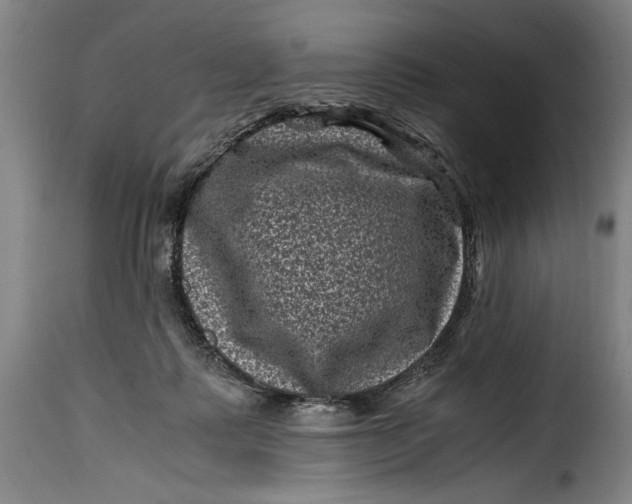 X0000115370315200911241246
