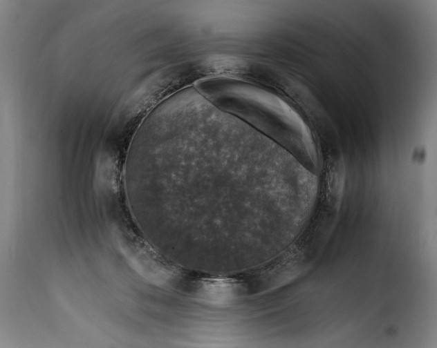 X0000115370316200911241246