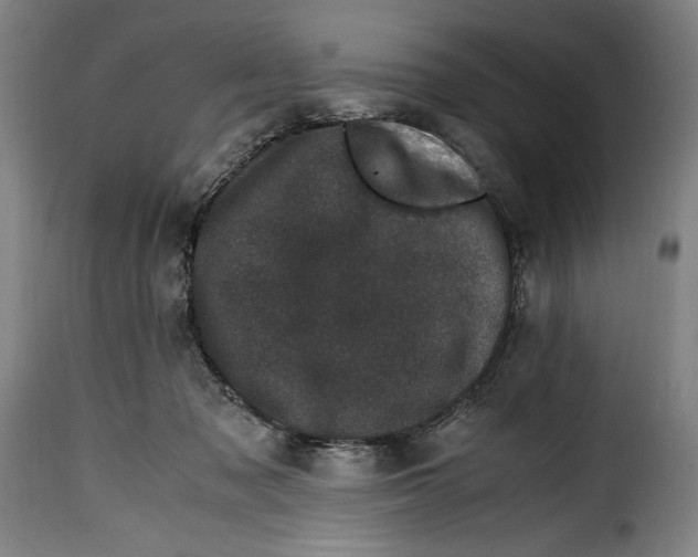 X0000115370317200911241246