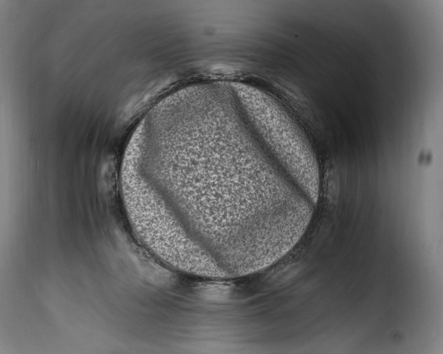 X0000115370318200911241246