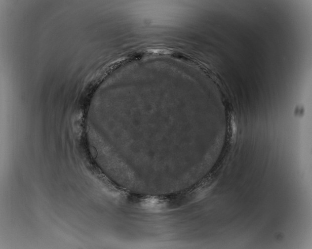 X0000115370319200911241246