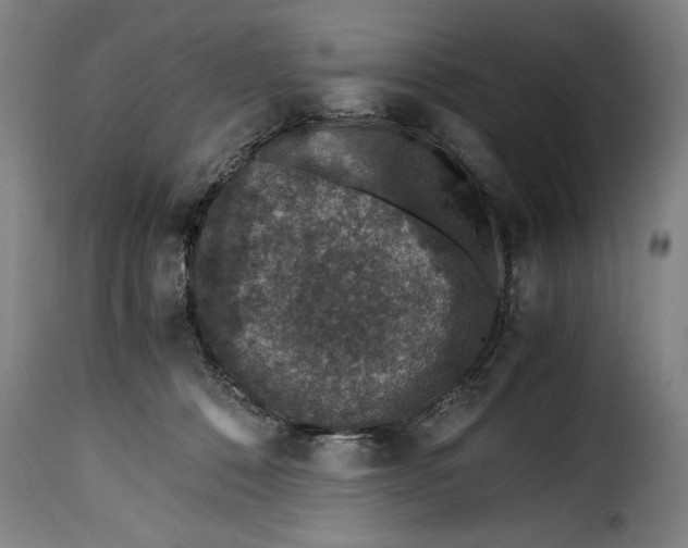 X0000115370320200911241246
