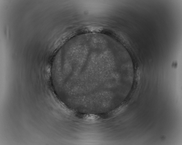X0000115370321200911241246