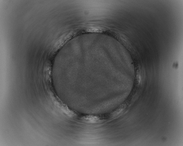 X0000115370322200911241246