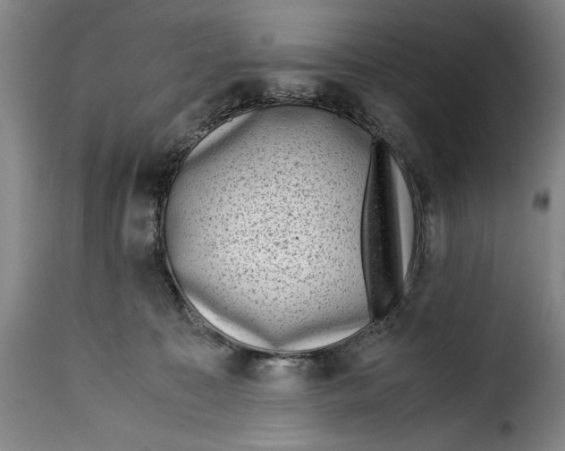 X0000115370323200911241246