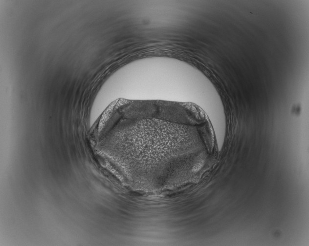 X0000115370324200911241246
