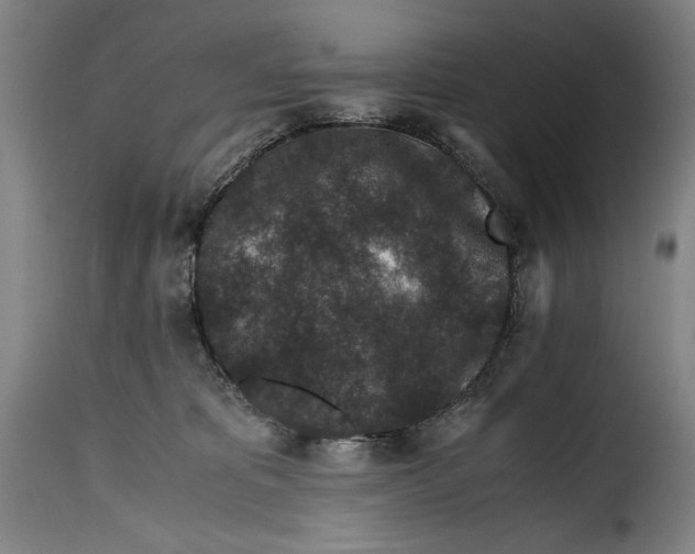 X0000115370325200911241246