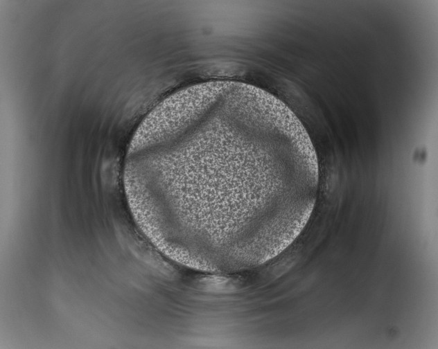 X0000115370326200911241246