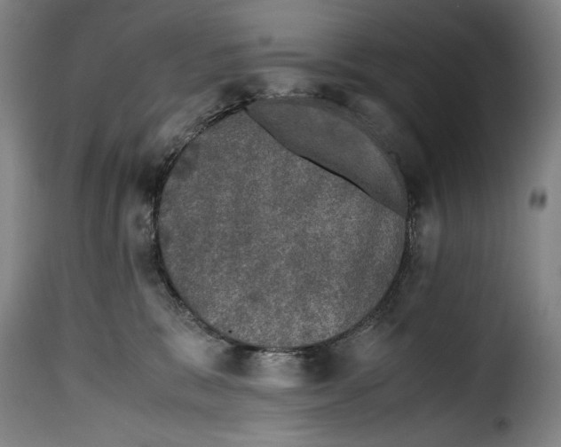 X0000115370327200911241246