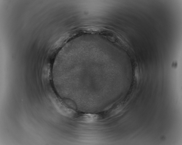 X0000115370328200911241246