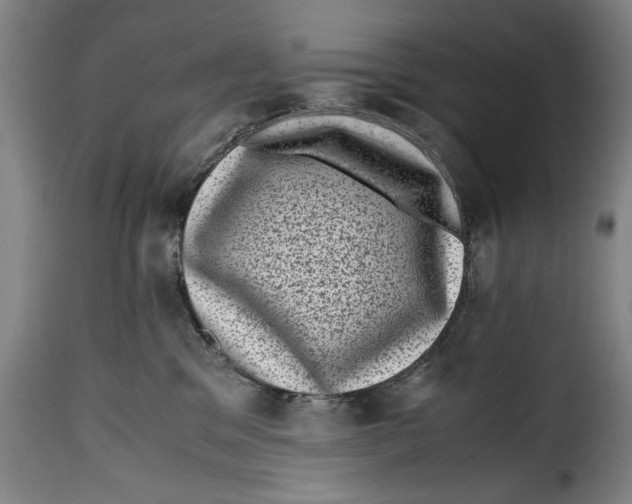 X0000115370329200911241246