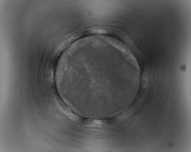 X0000115370330200911241246