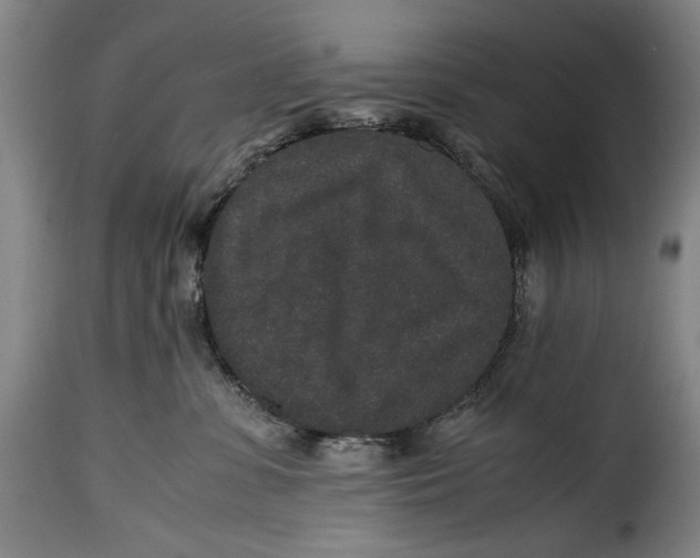 X0000115370331200911241246