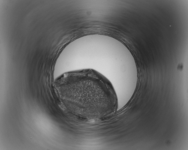 X0000115370333200911241246